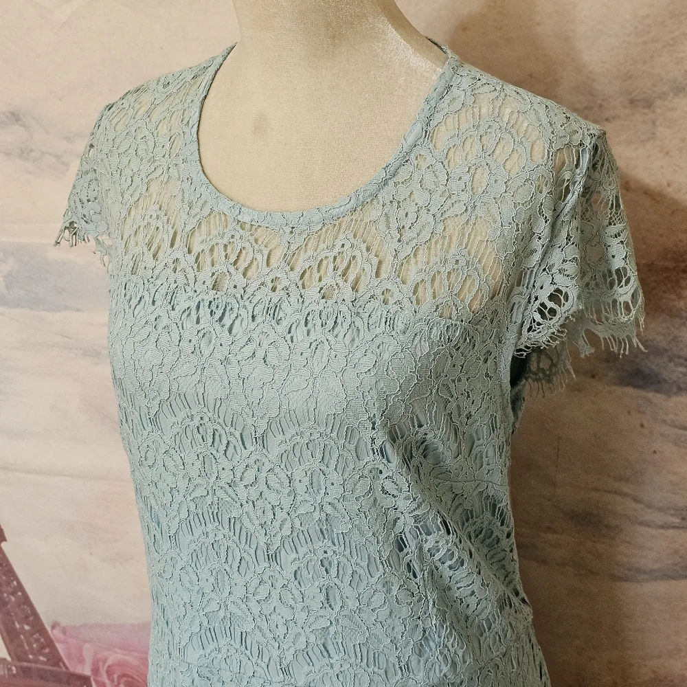NWT Lane Bryant lace lined dress sz 22 - Picture 3 of 11